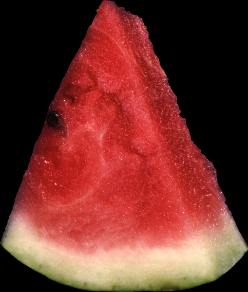 Watermelon transparent background PNG image