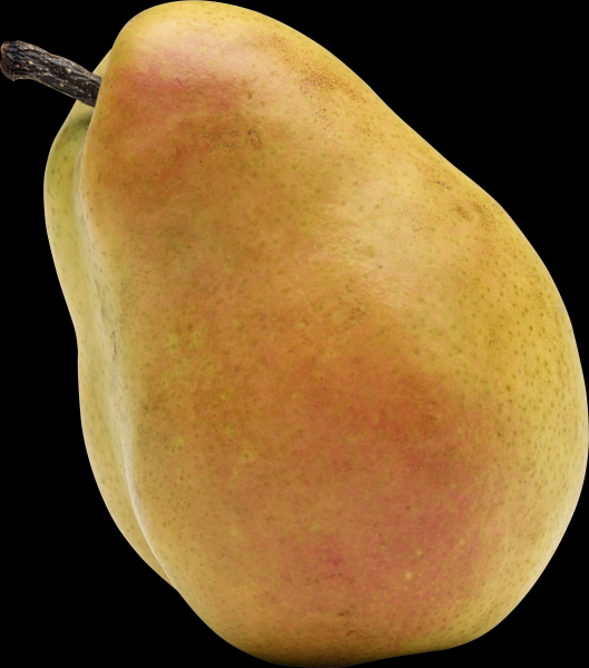 Pear transparent background PNG image