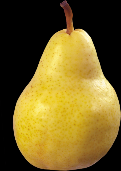 Pear transparent background PNG image