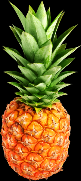 Pineapple transparent background PNG image