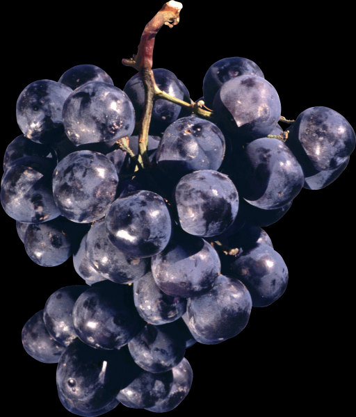 Grape transparent background PNG image