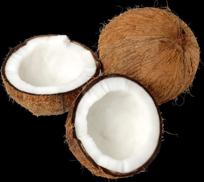 Coconut transparent background PNG image
