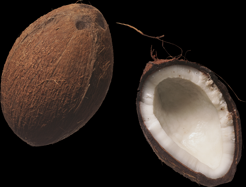Coconut transparent background PNG image