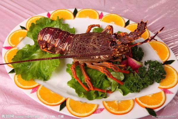 Seafood and lobster pictures with bright colors and temptations