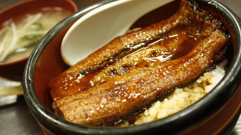 Exquisite picture of smoked and grilled seafood eel rice