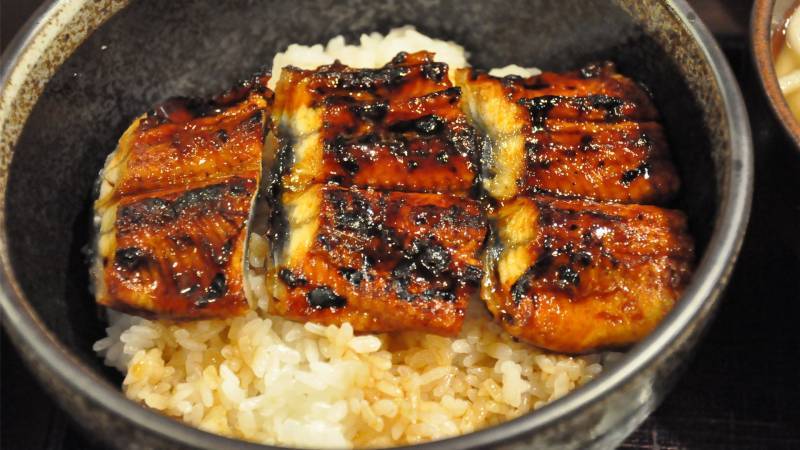 Exquisite picture of smoked and grilled seafood eel rice