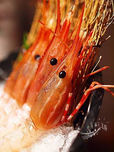 Japanese seafood dishes are fresh and delicious, making people salivate