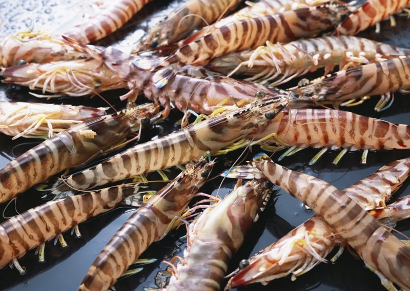 Delicious pictures of prawns