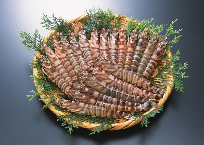 Delicious pictures of prawns
