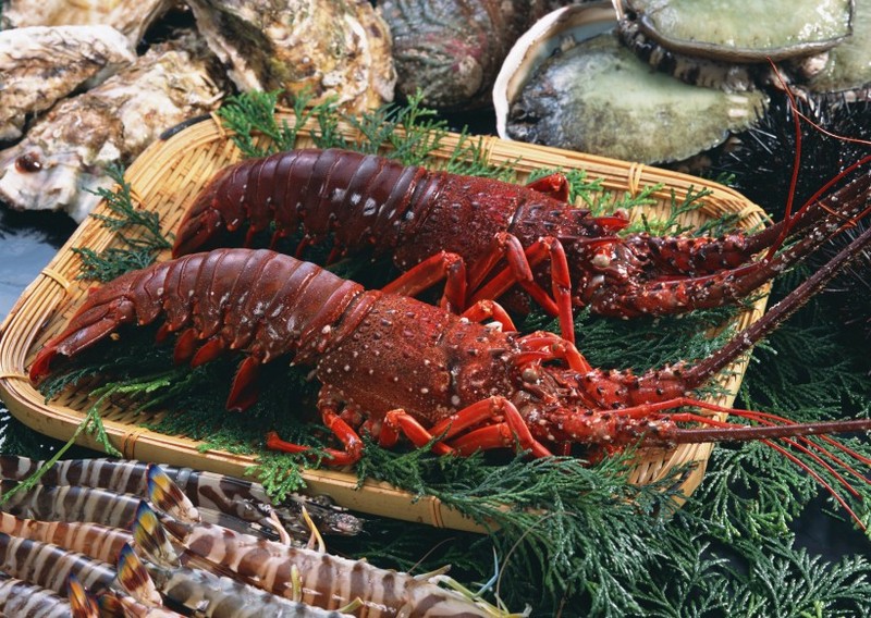 Picture of delicious lobster
