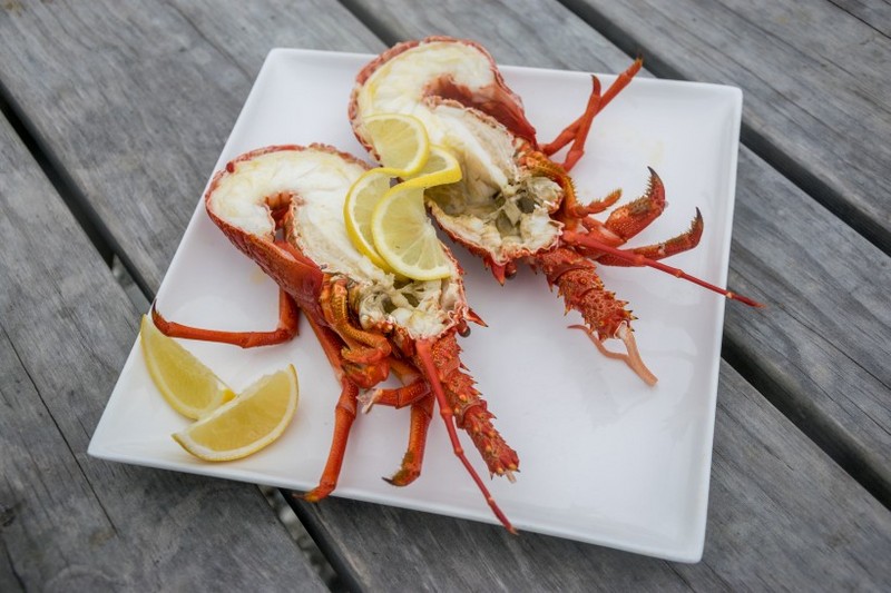 Delicious pictures of crayfish