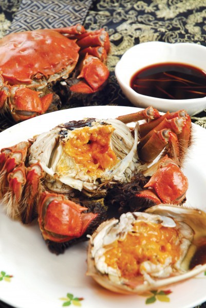 Picture of Yangcheng Lake hairy crab