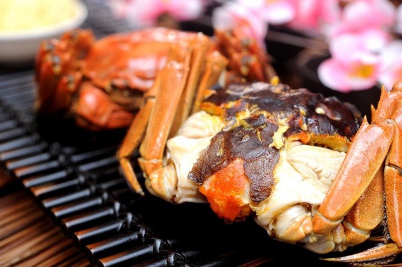 Picture of Yangcheng Lake hairy crab