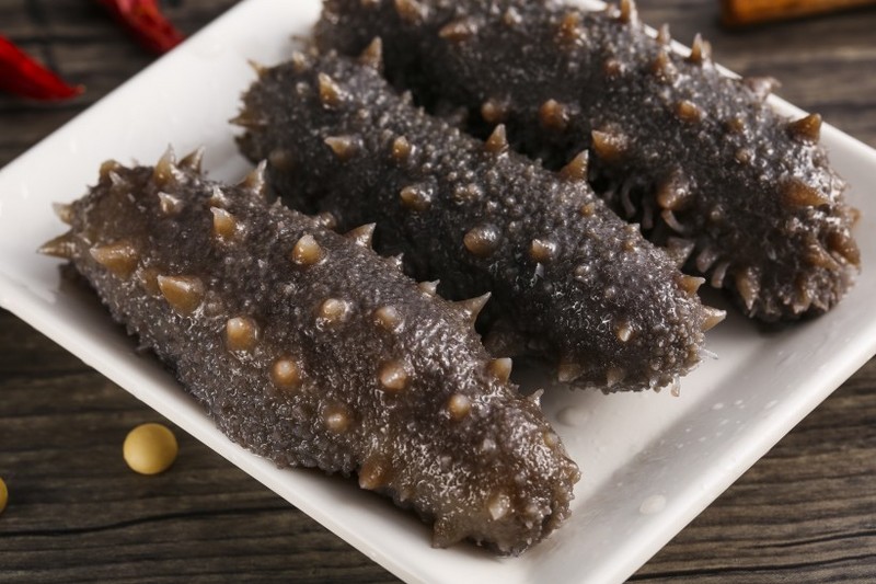 Picture of nutritious sea cucumber