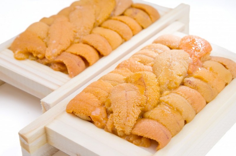 Fresh sea urchin meat picture