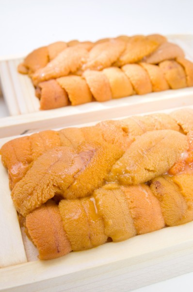 Fresh sea urchin meat picture