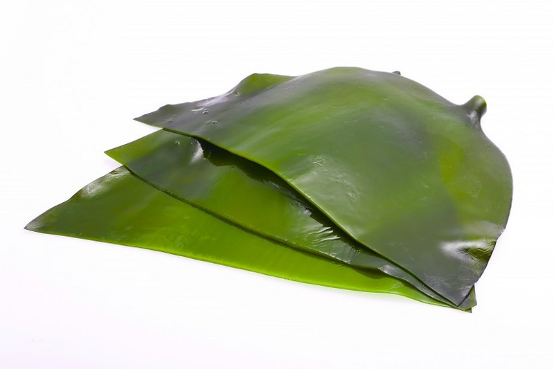 Picture of green and tender kelp