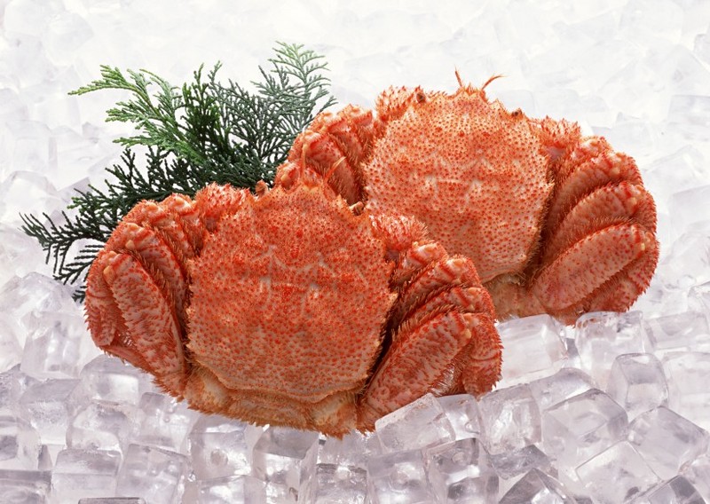 Fresh and flavorful pictures of hairy crabs