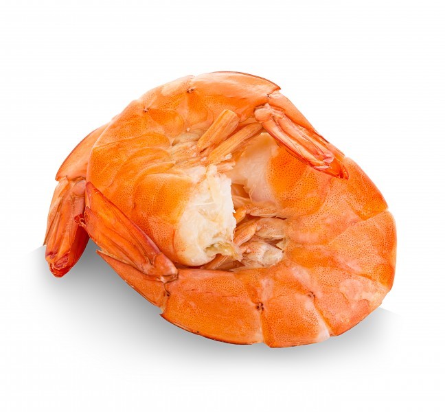 Fresh shrimp meat picture