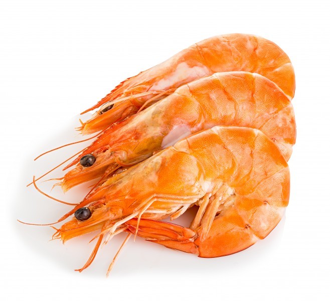 Fresh shrimp meat picture