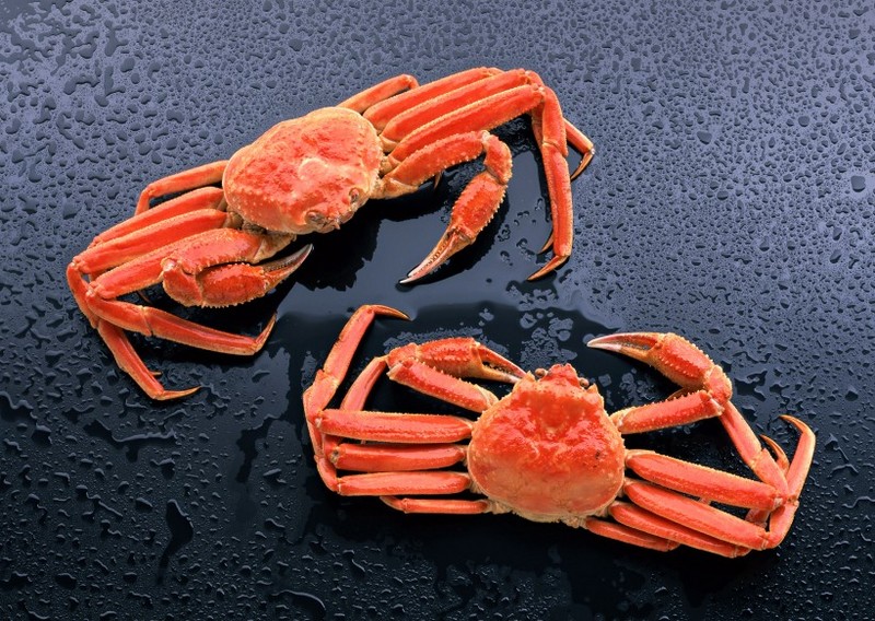 Picture of the seafood ingredient crab