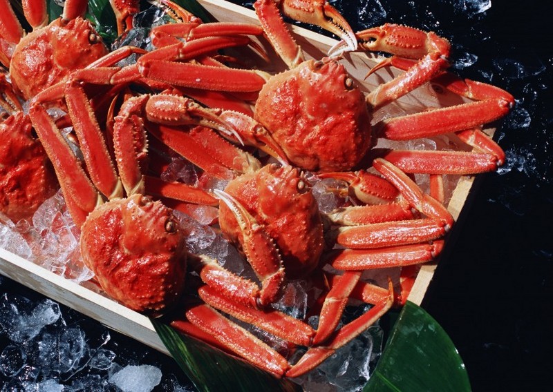 Picture of the seafood ingredient crab