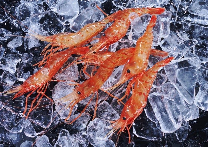Picture of delicious river shrimp