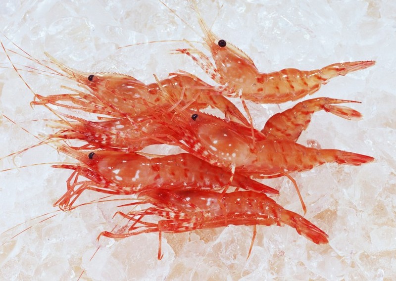 Picture of delicious river shrimp