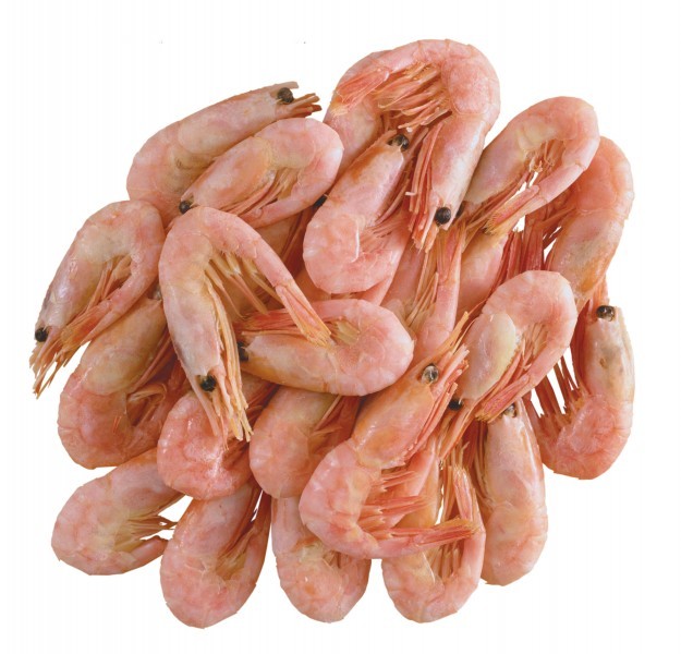 Picture of fresh, plump, and delicious shrimp