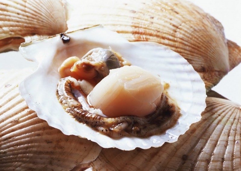 Pictures of super delicious seafood ingredients