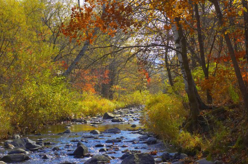 Beautiful high-definition landscape picture of Hailang River