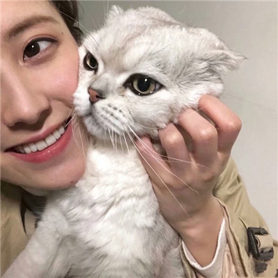 女生头像-女生抱着猫猫爱心满满头像 你是最特别的那一个(9)