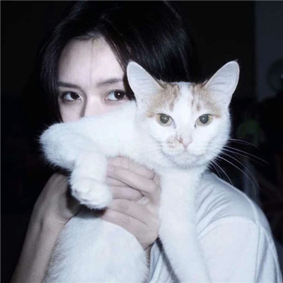 女生头像-女生抱着猫猫爱心满满头像 你是最特别的那一个(6)