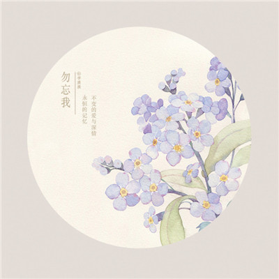Beautiful, Fresh, Don't Forget Me Flower Avatar Complete Collection, Me and You are an Endless Love Song
