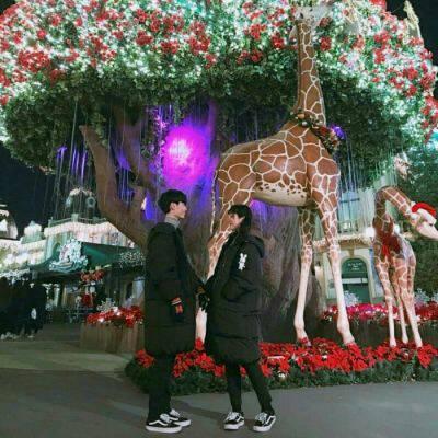 Xiu En Ai Couple Group Photo Avatar Fresh and Suitable for Couples in Winter Snowy Days Avatar of One Male and One Female