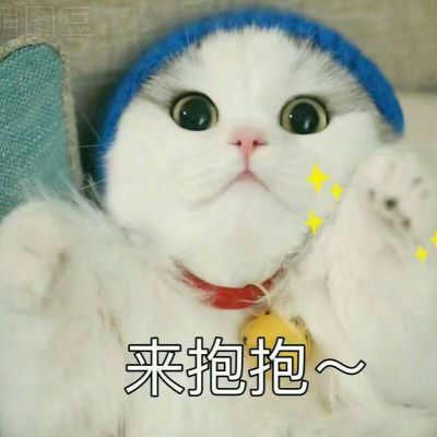 Super Cute Cat Picture Complete Collection Cute with Words 2021 Latest Inspiration Always Smarter than Anger