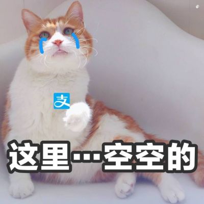 2021 Latest WeChat Funny Avatar Images with Eye-catching Words Announce Silence of Youth