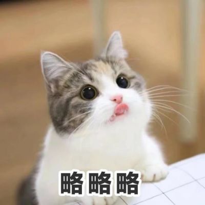 Cute Cat Avatar with Words in High Definition 2021 Latest Hearts to People: You're True, I'm True