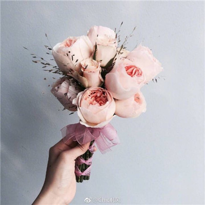 Beautiful bouquet, fresh flowers, WeChat avatar 2021, are you not enough just me