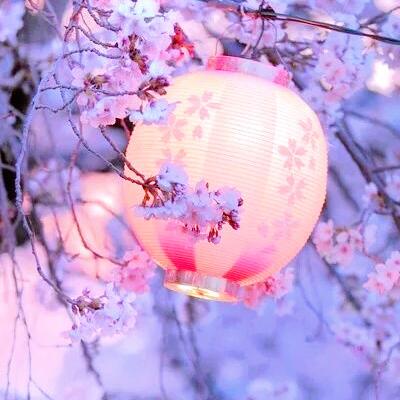 2021 WeChat Avatar Bringing Good Luck, Fresh Sakura, and the Most Auspicious Avatar Landscape on WeChat