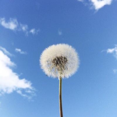 Simple and high-definition WeChat landscape avatar, beautiful and unique, blue sky landscape avatar