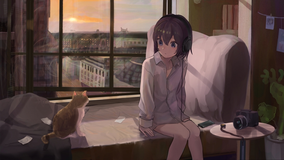 Anime warm pictures of beautiful girls and cats in front of the sunset window High definition wallpaper