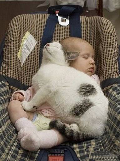 Picture of baby and cat sleeping together