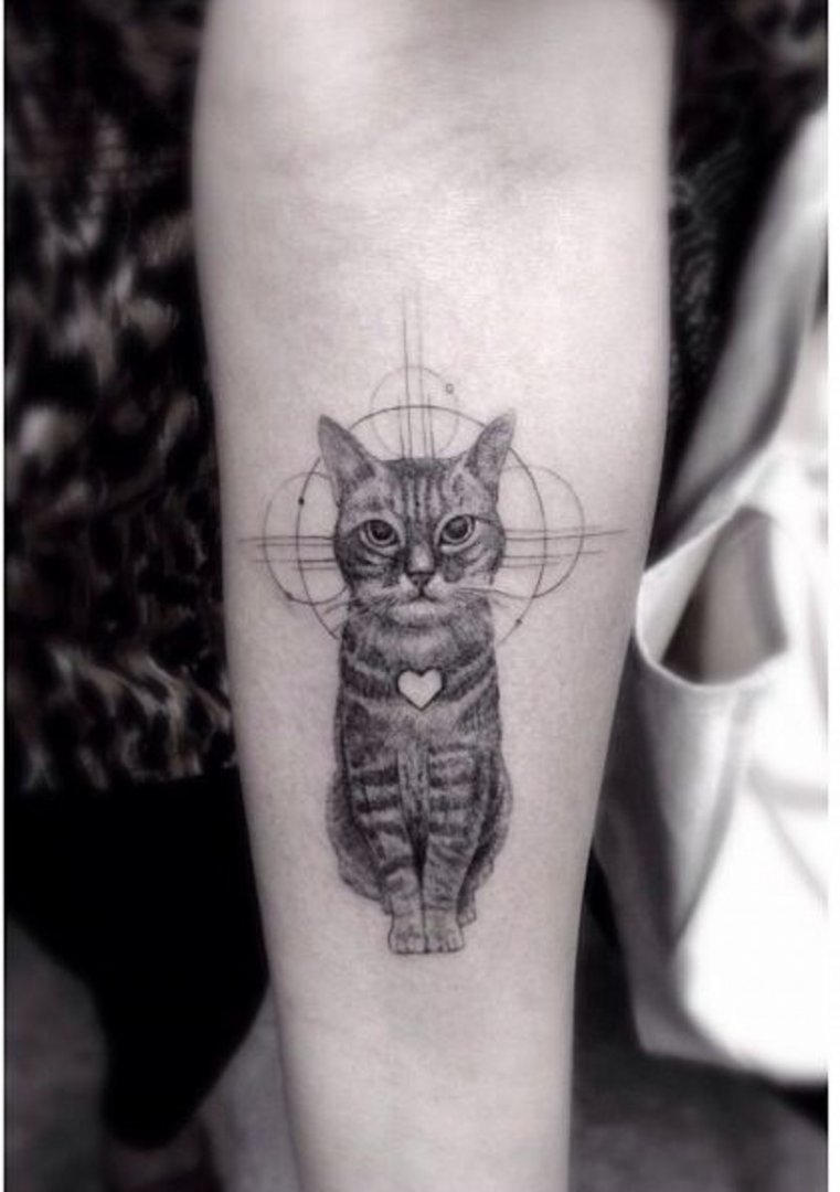 Black and white cute kitten with heart shaped lines and realistic arm tattoo image
