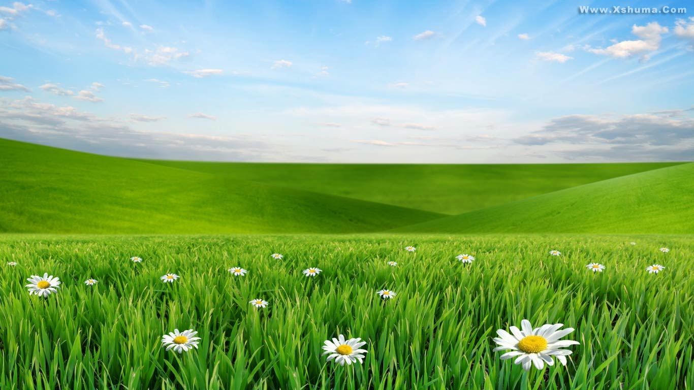Beautiful green scenery eye protection computer desktop wallpaper image