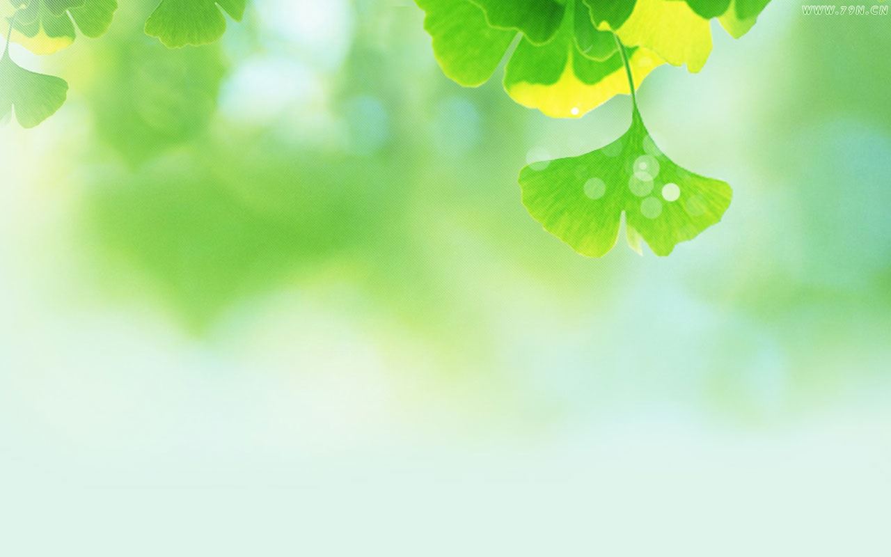 Exquisite and fresh green landscape eye protection desktop wallpaper