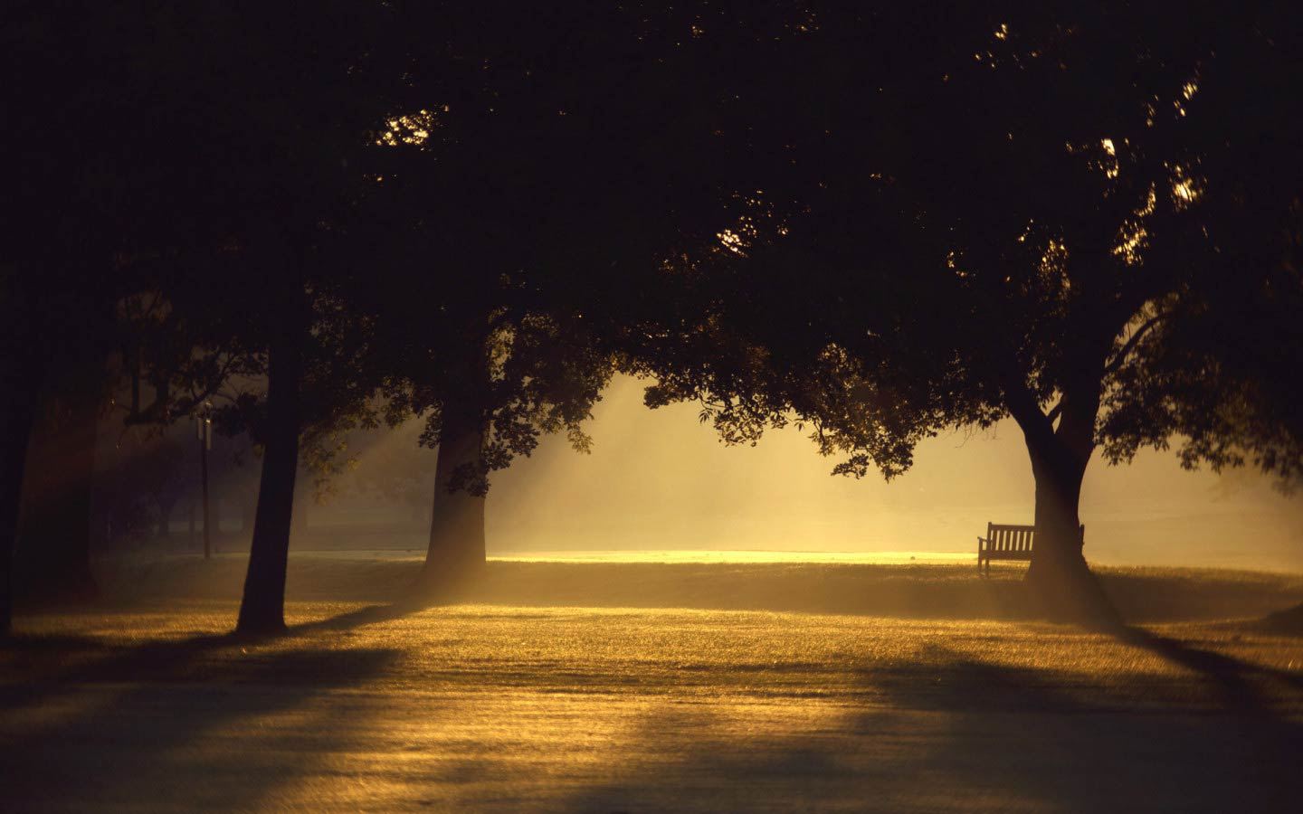Lonely bench, beautiful and melancholic scenery, desktop wallpaper