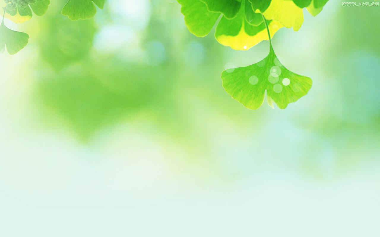 Green flowers and fresh computer desktop wallpaper image
