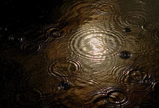 The raindrops create ripples one after another