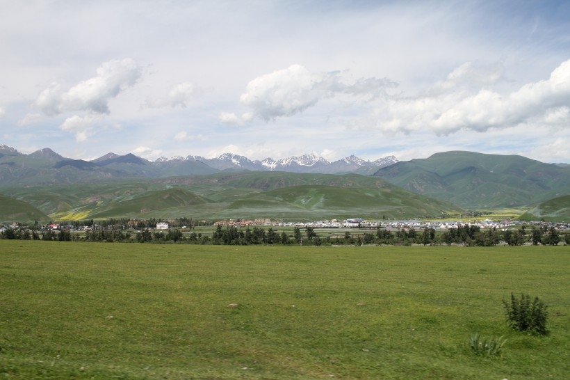 The sheep are staying on the Narati grassland